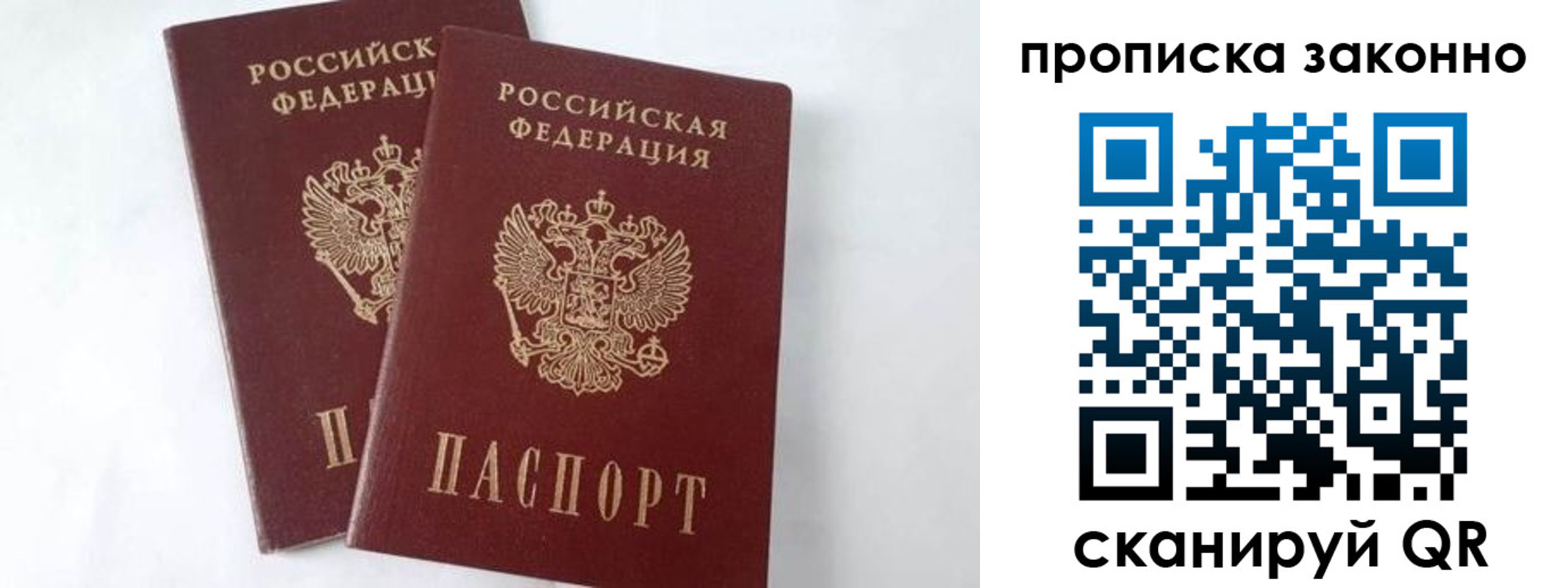 прописка в Бабаево